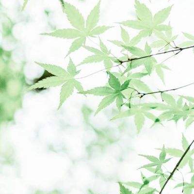 日本开展“无烟周”活动